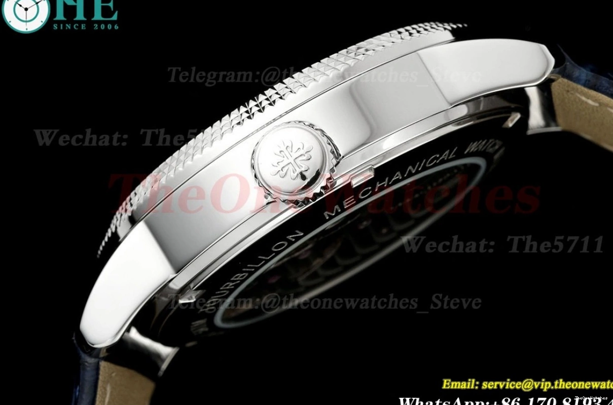 Sky Dial 42mm SS Complications Tourb RMSF LE Starry 0420